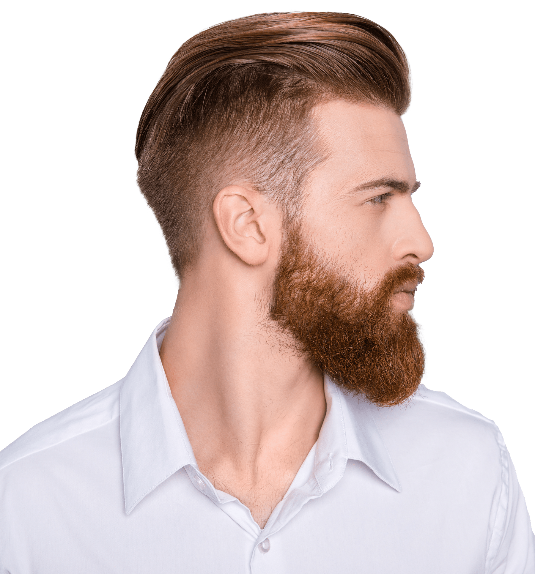 AdobeStock_139764438.png